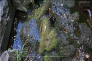 Lindahlbrunnen im Sanderglasic